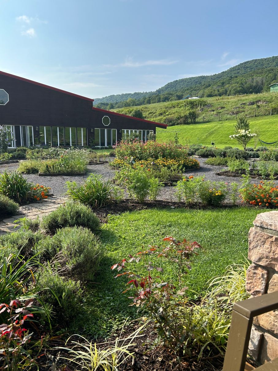 Eupepsia Wellness Resort-旅行者
