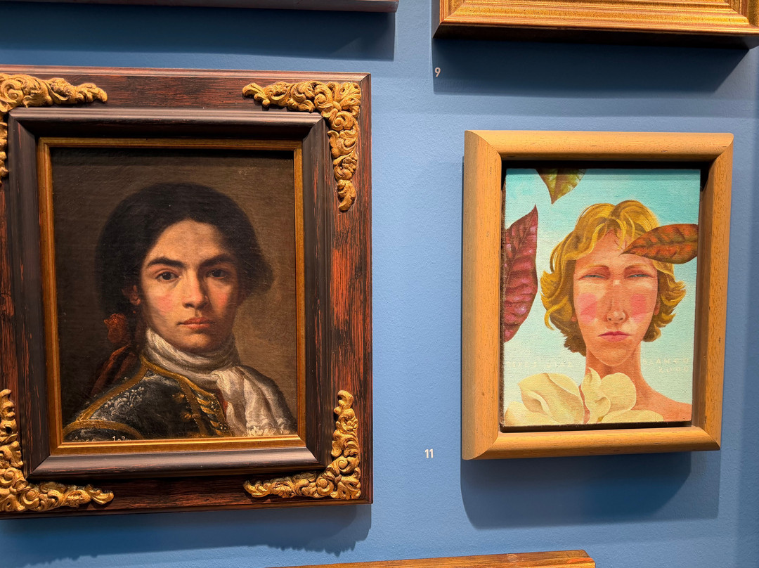 Museo de Bellas Artes de Asturias-奥维耶多必去景点
