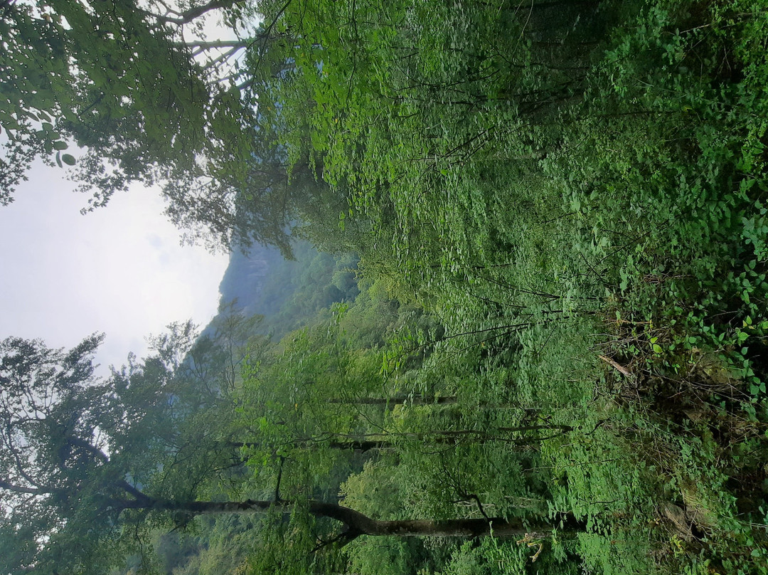 Source de la Bidouze-Saint-Just-Ibarre必去景点