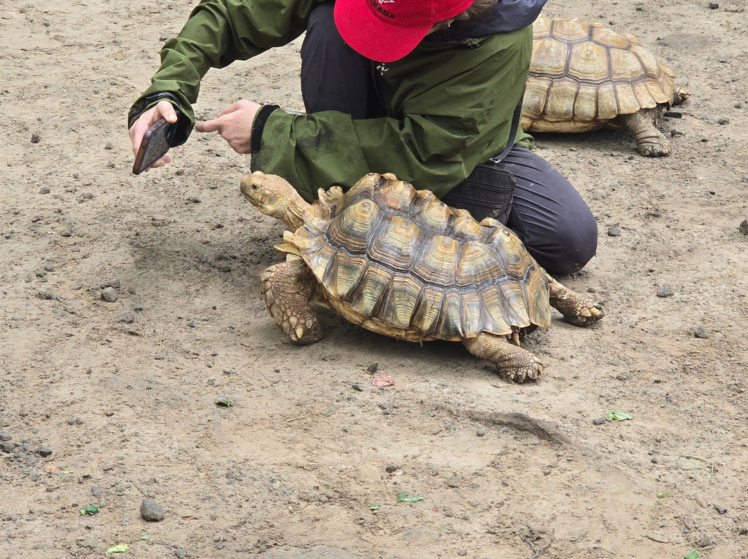 Claws 'N' Paws Wild Animal Park-Lake Ariel必去景点