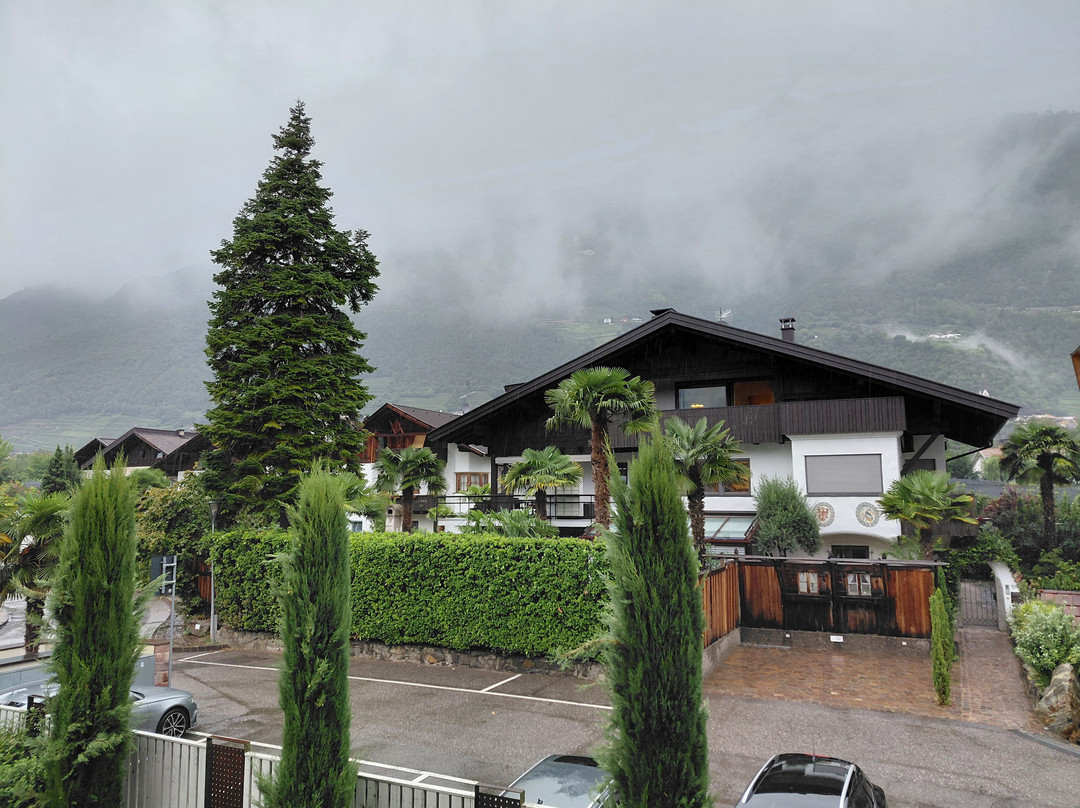 Alia Appartements & Wellness主图