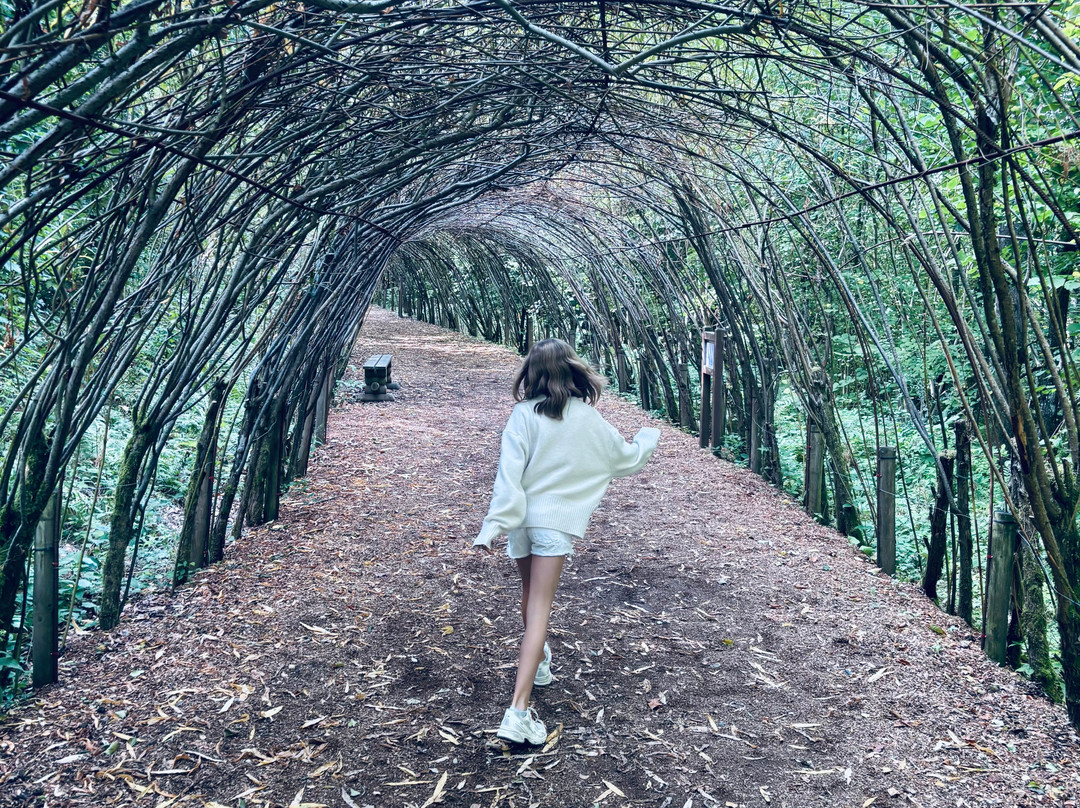 Parc Forestier Récréatif Chlorophylle-Manhay必去景点