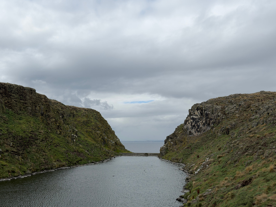 Isle Of May Boat Trips-Anstruther必去景点