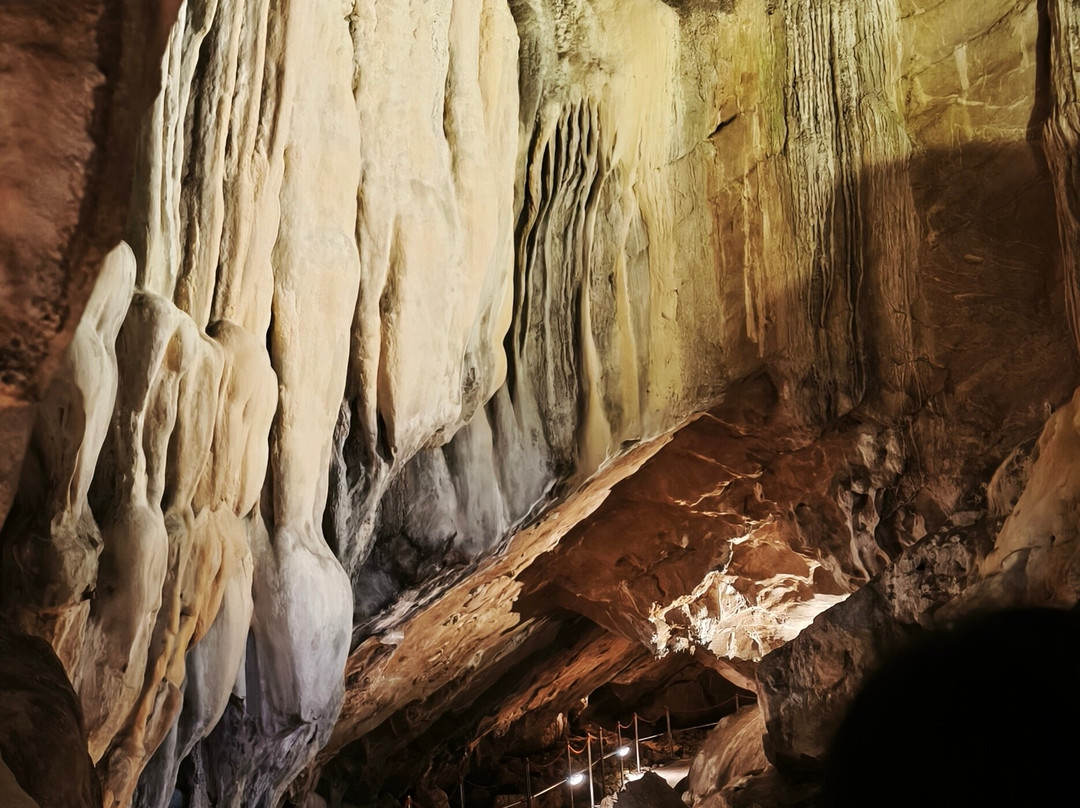 Cueva de las Güixas-Villanua必去景点