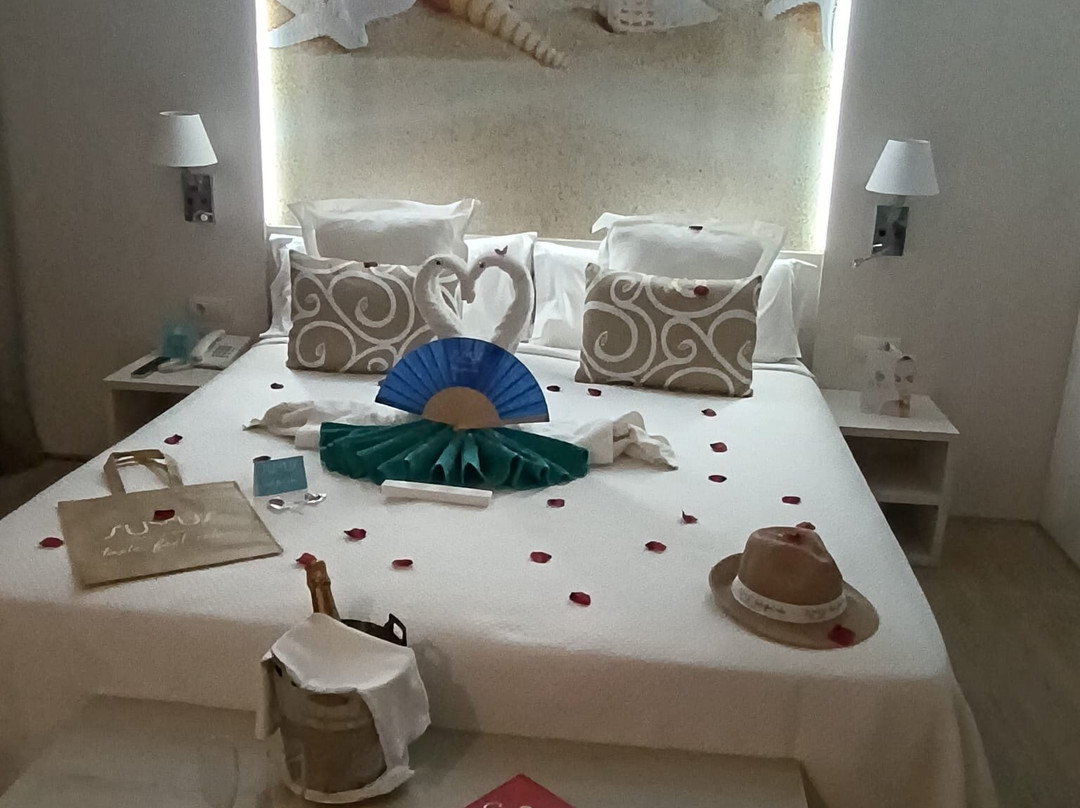 斯黛拉 SPA 酒店主图