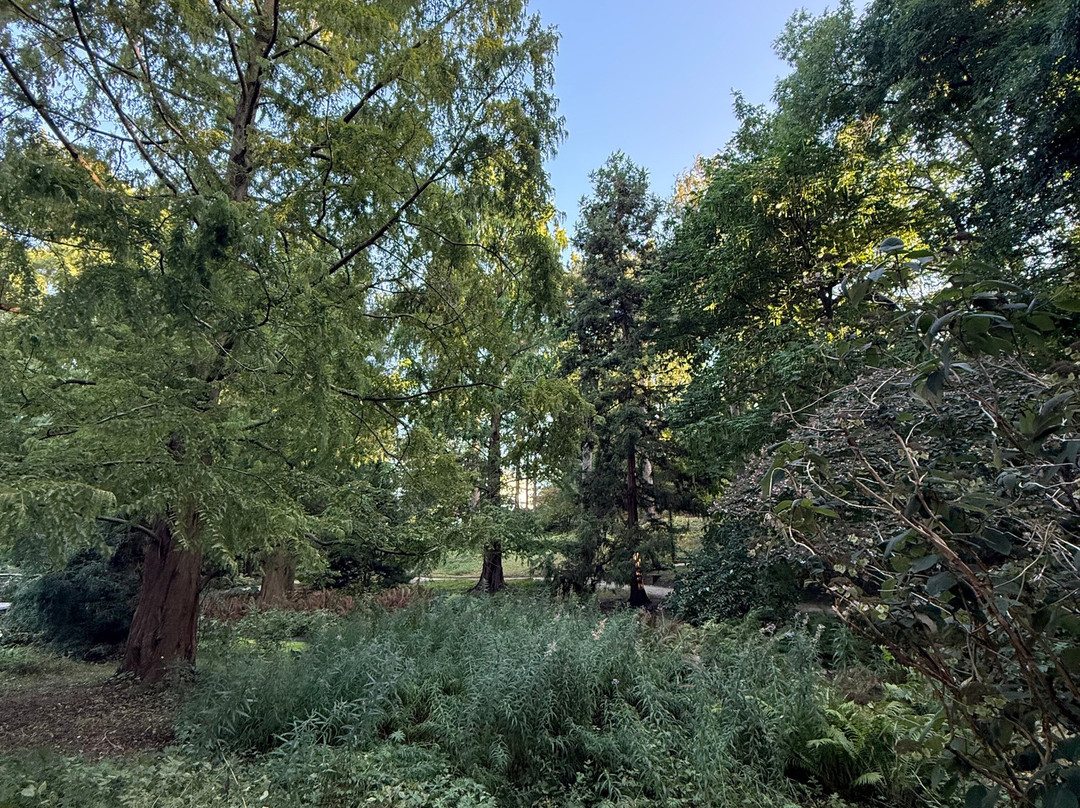 Alter Botanischer Garten-基尔必去景点