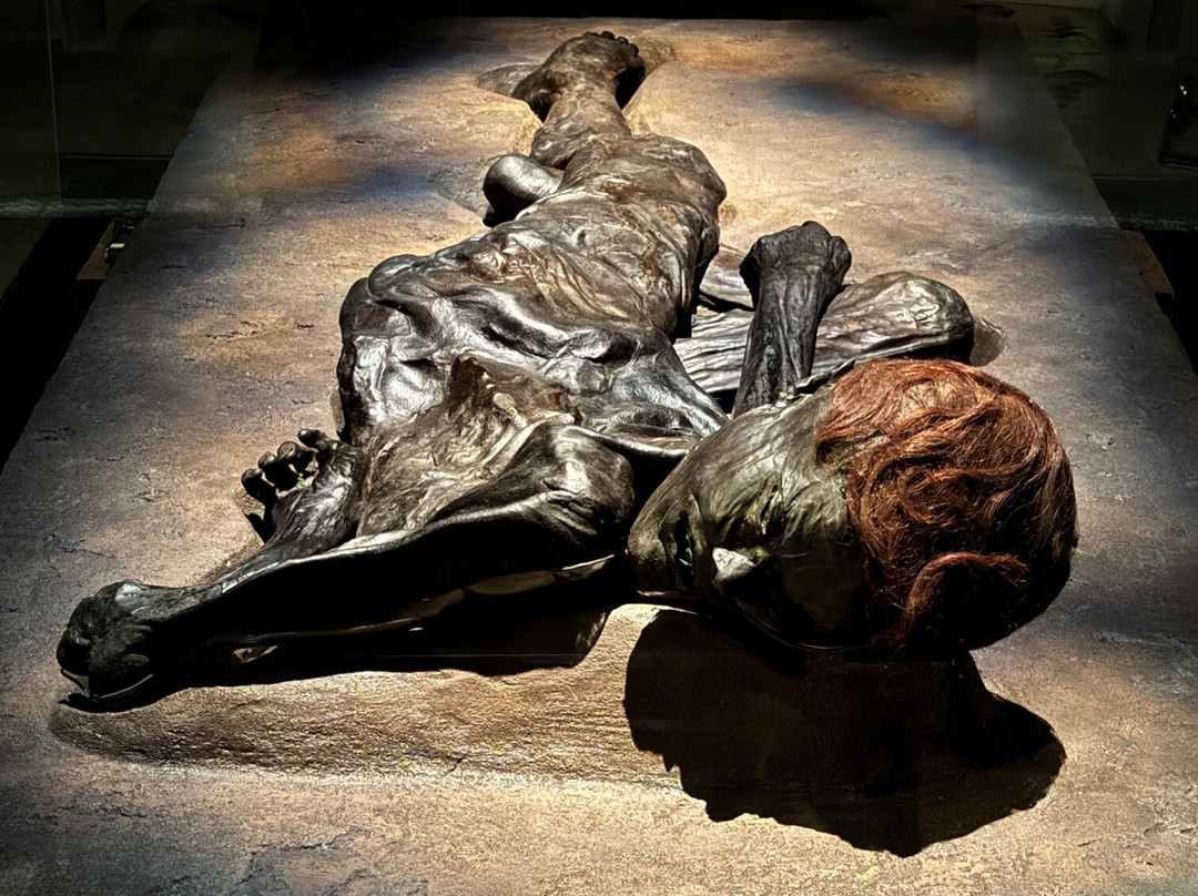 Moesgaard Museum-欧胡斯必去景点