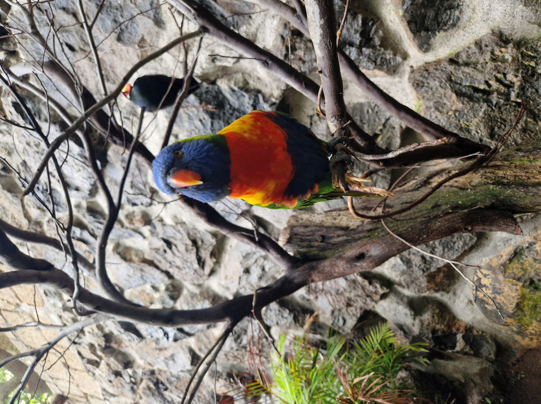 Park Las Aquilas Jungle Park-阿罗纳必去景点