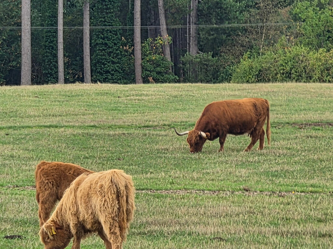 Cannon Hall Farm-Cawthorne必去景点