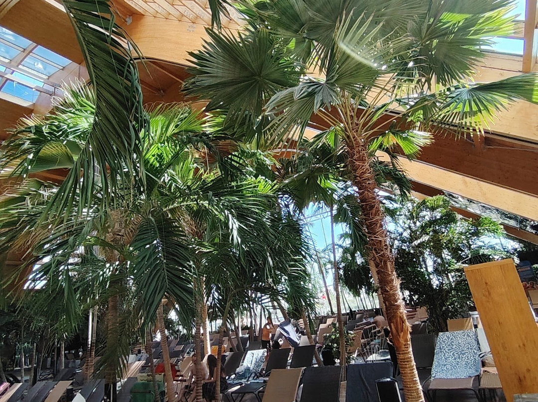 Therme Bucuresti-Balotesti必去景点