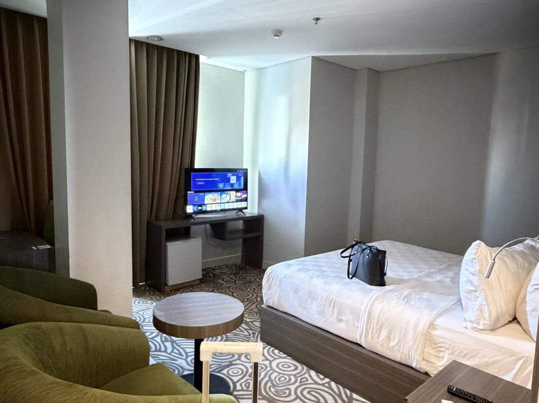 巴厘巴板瑞士贝尔旅店主图