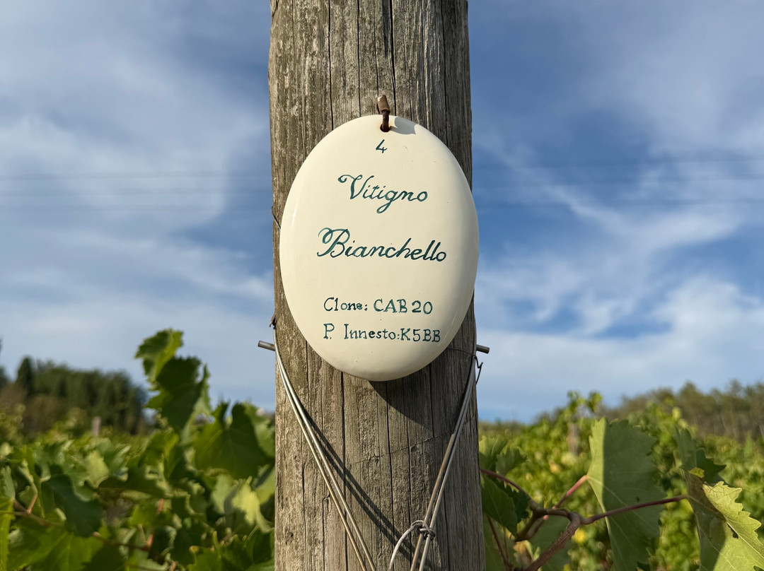 Azienda Agraria Guerrieri-Piagge必去景点