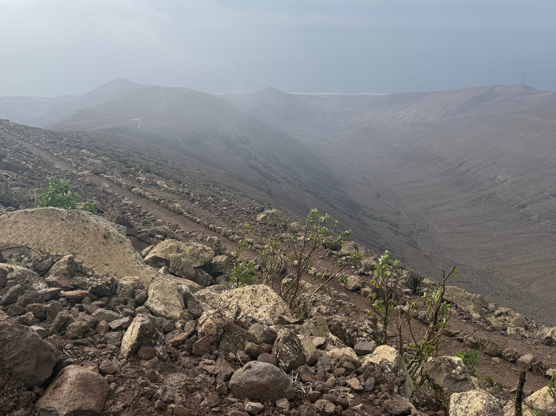 Pico de las Zarzas-Morro del Jable必去景点