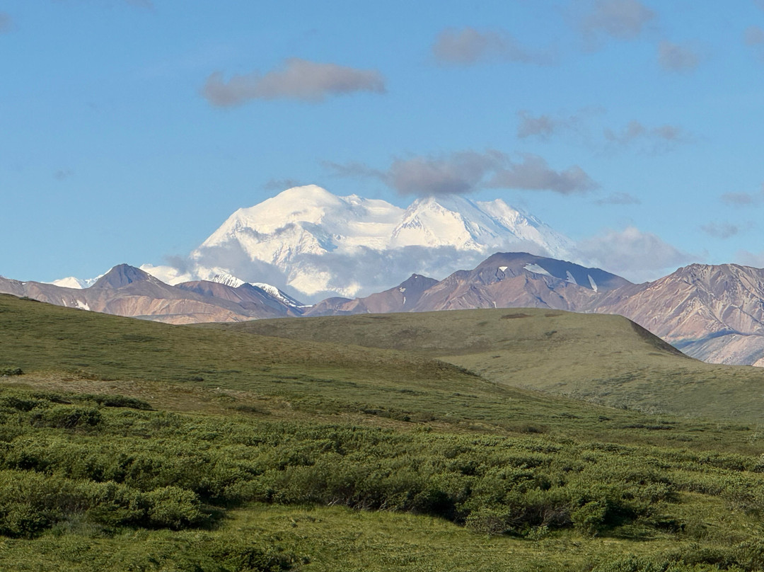 Tundra Wilderness Tour-Denali Park必去景点