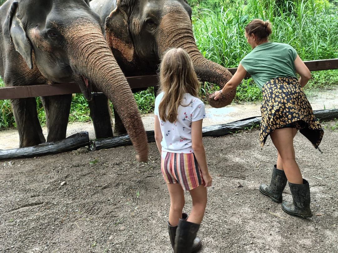 Khao Sok Elephant Sanctuary-拷索国家公园必去景点