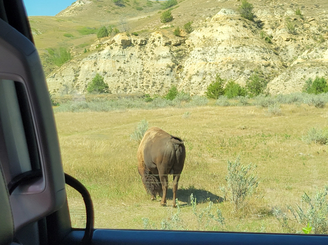 Theodore Roosevelt National Park-Medora必去景点