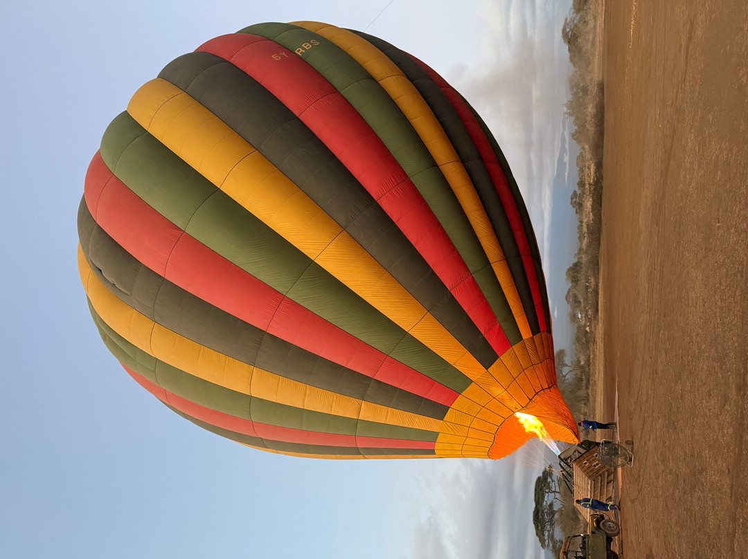 Kilimanjaro Balloon Safaris-安博塞利国家公园必去景点