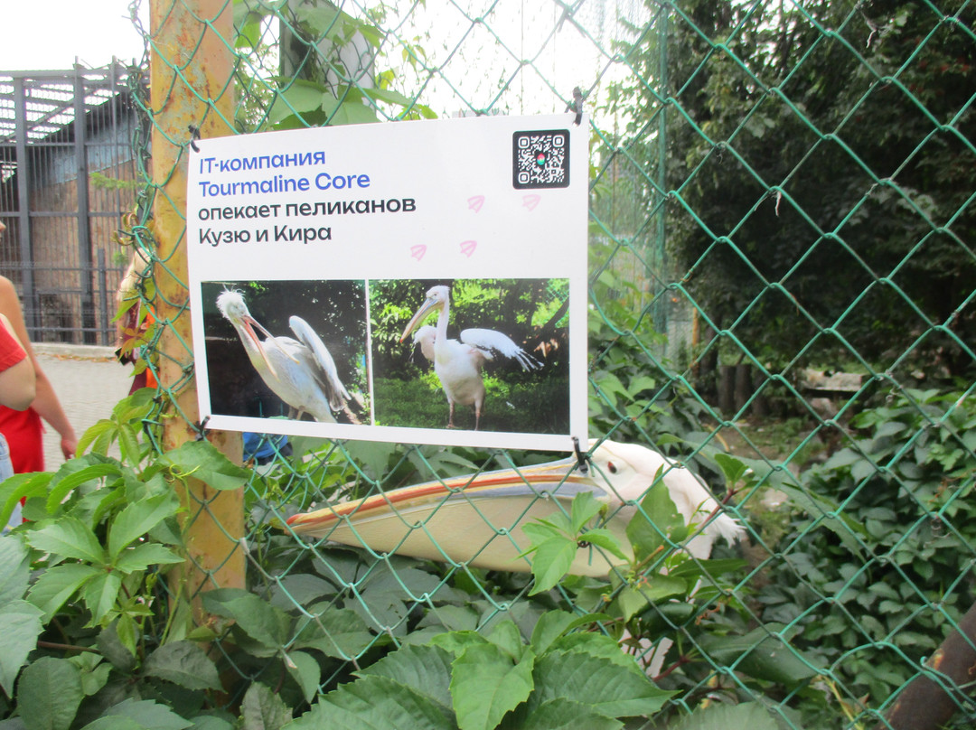 Chelyabinsk Zoo-车里雅宾斯克必去景点