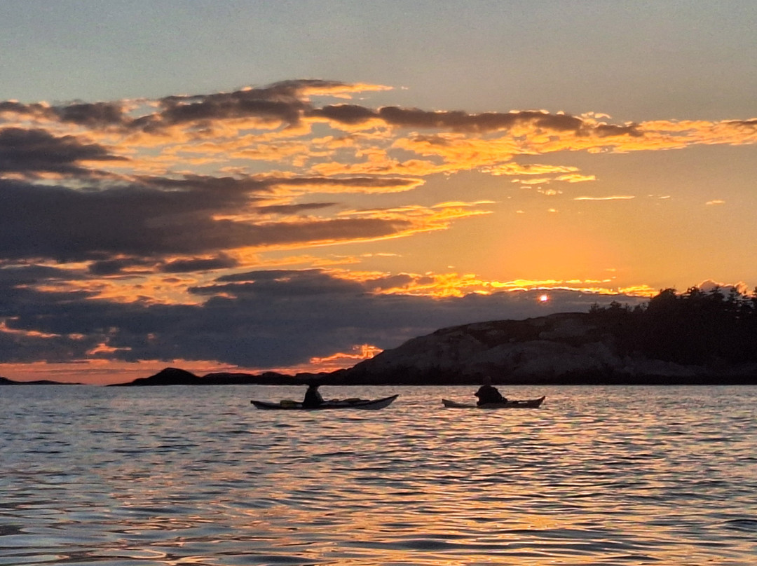 East Coast Outfitters Sea Kayaking-哈利法克斯必去景点