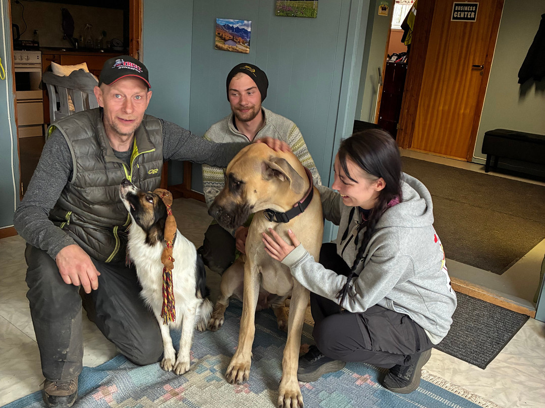 Northern Light Dog Adventure-Nordkjosbotn必去景点