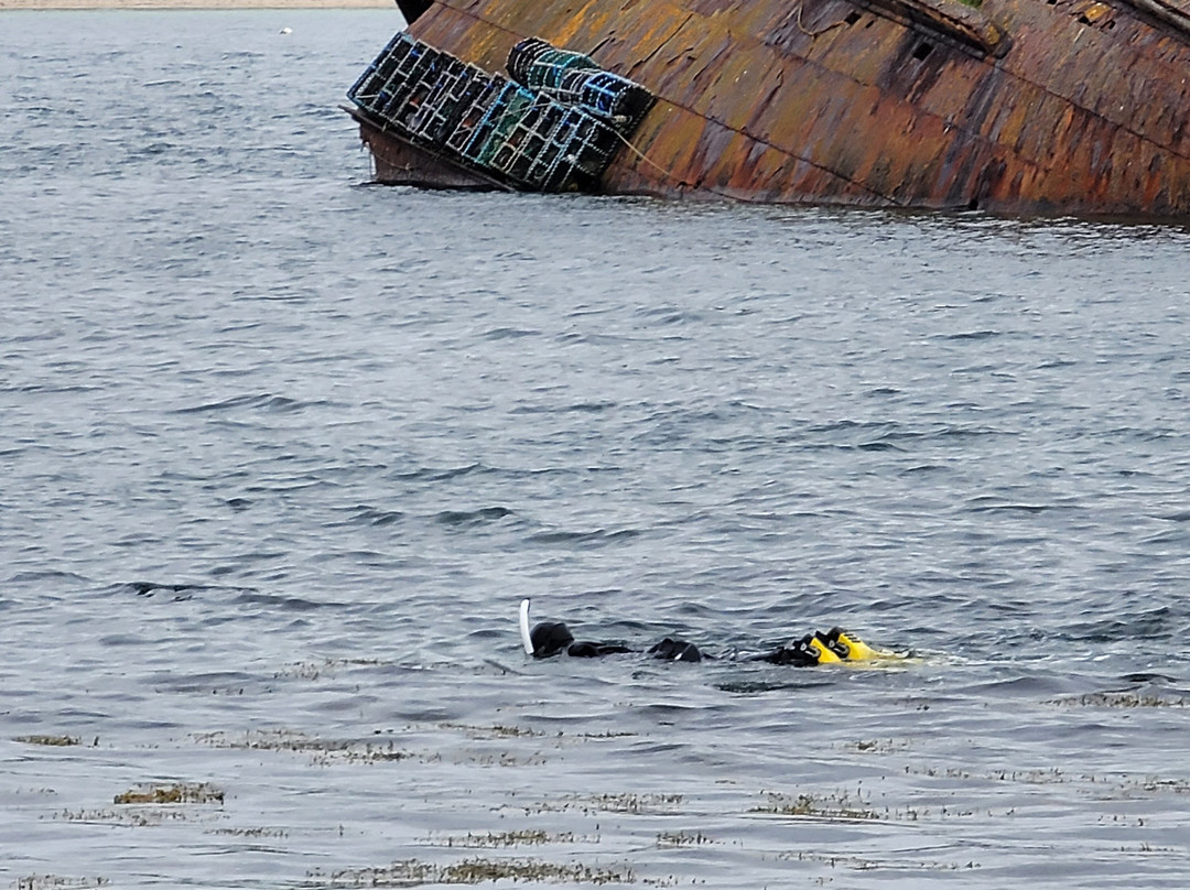 Kraken Diving-Birsay必去景点