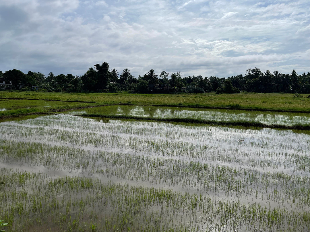 Ceylon Story Trails-Minuwangoda必去景点