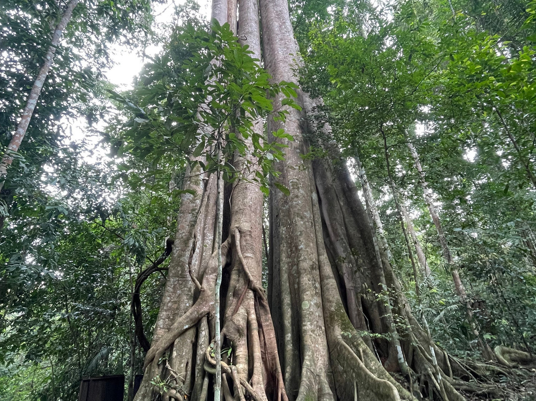 Khao Yai National Park-北丕必去景点