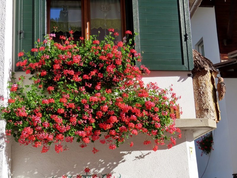 Antico Borgo di Sottoguda-罗卡皮耶托雷必去景点