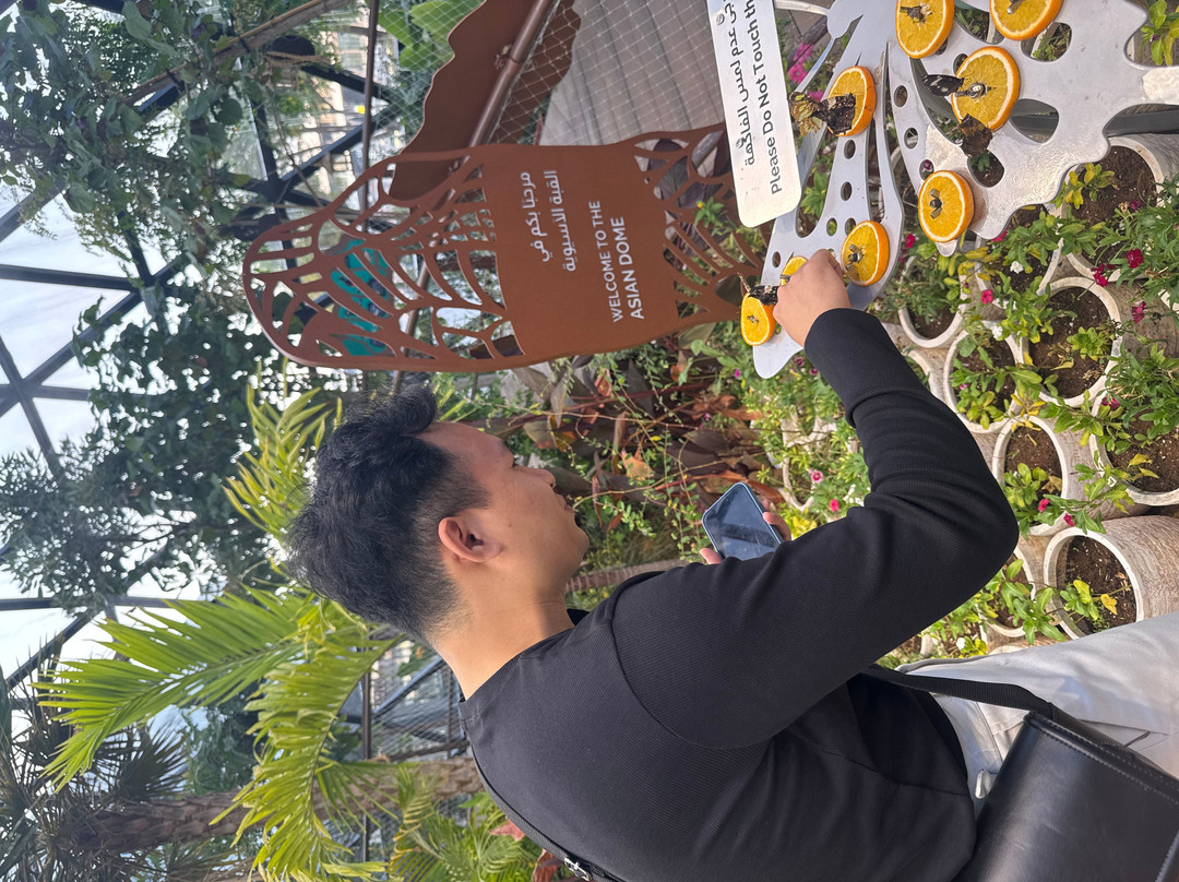 The Butterfly Gardens Abu Dhabi-阿布扎比必去景点