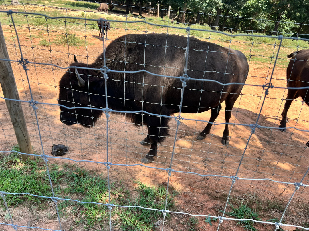 Chestatee Wildlife Preserve & Zoo-达洛尼加必去景点