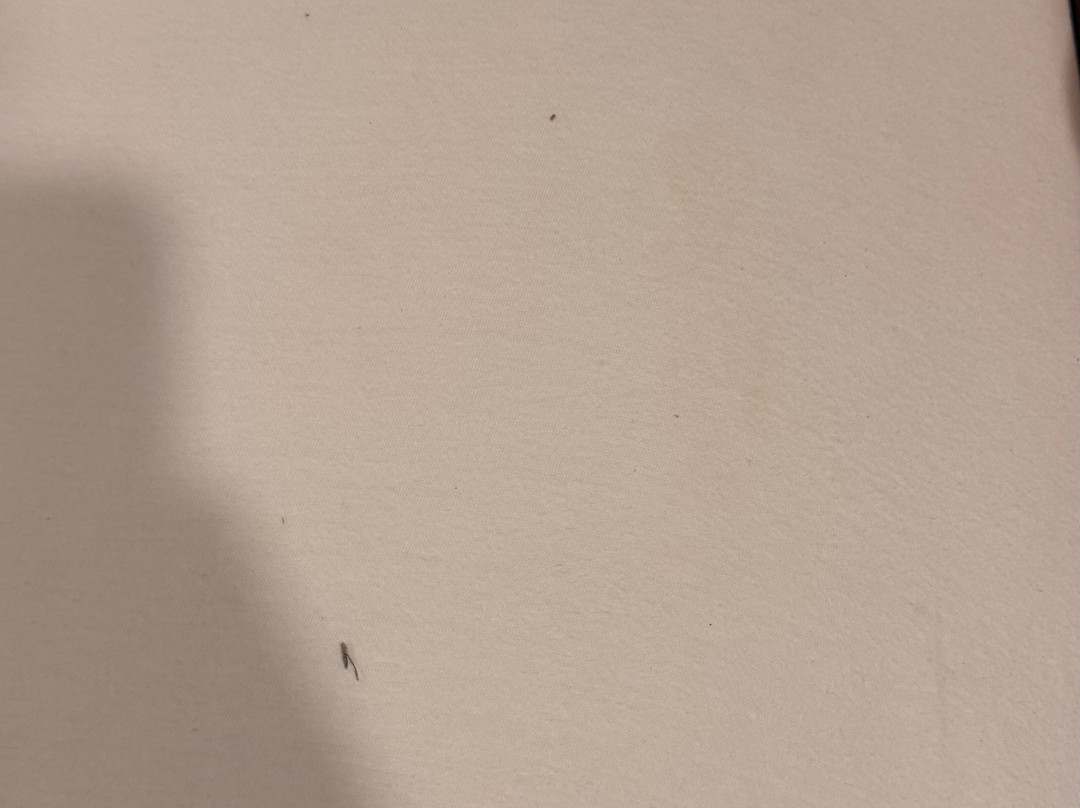 Peperpot精品酒店主图