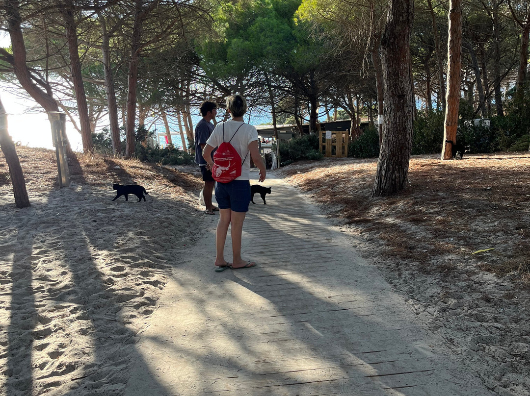 Spiaggia di Maria Pia-阿尔盖罗必去景点
