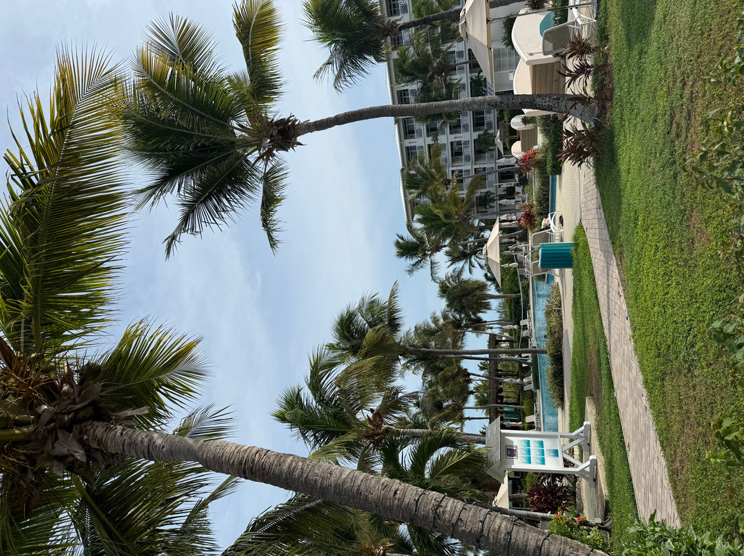 Alexandra Resort - All-inclusive主图