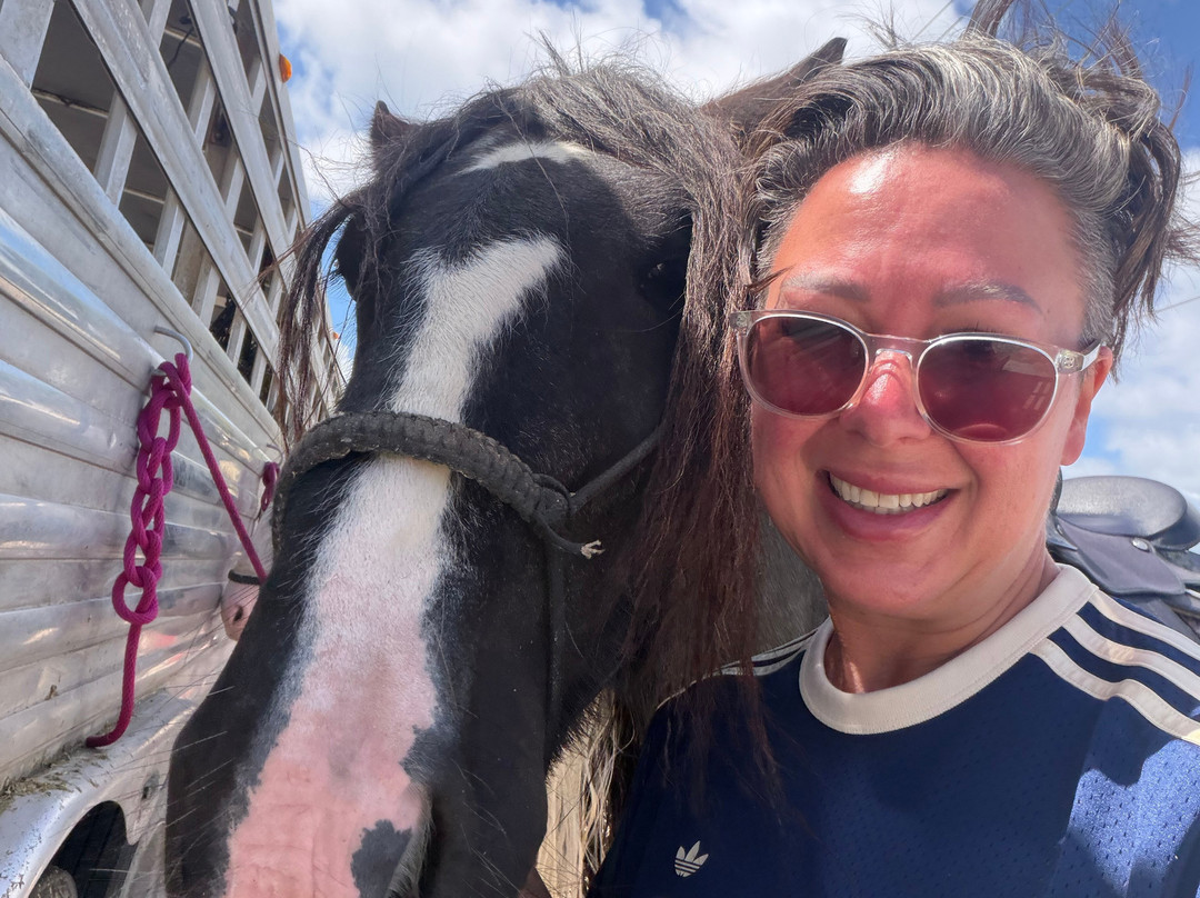 C Ponies Beach Horseback Rides-布雷登顿必去景点