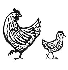 Les Poulettes