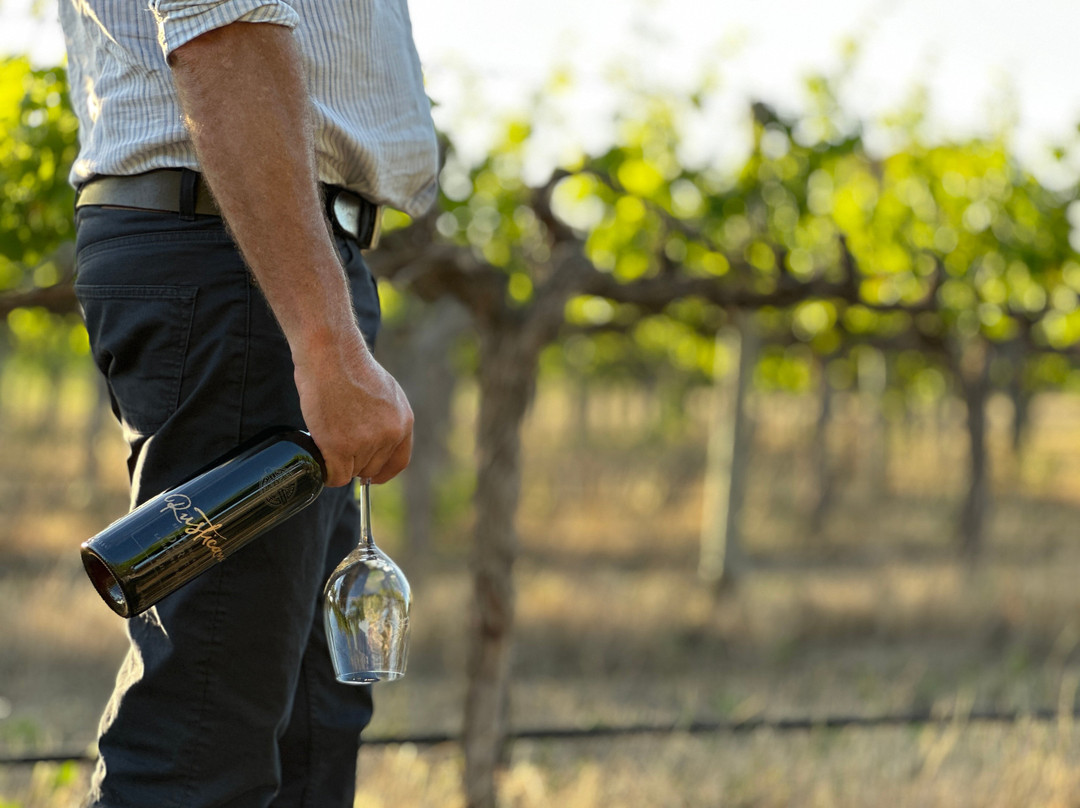 Rusticana Wines and Newman's Horseradish-Langhorne Creek必去景点