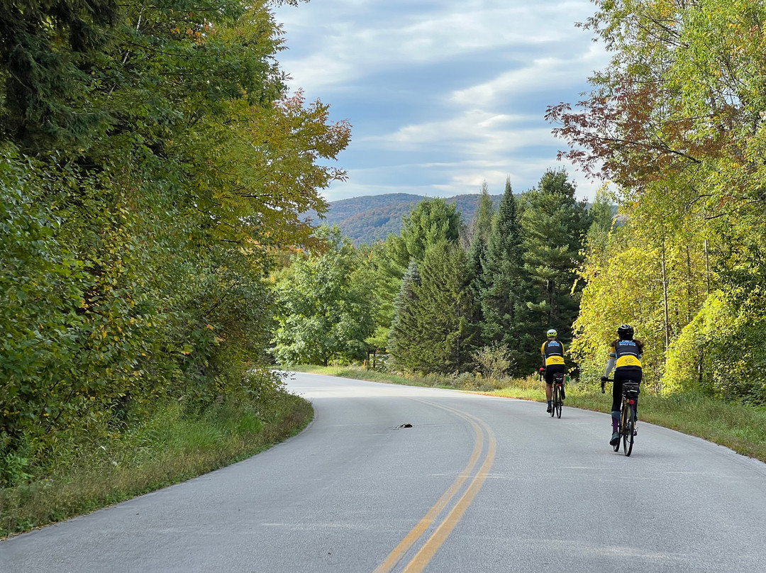 Discovery Bicycle Tours-伍德斯托克必去景点