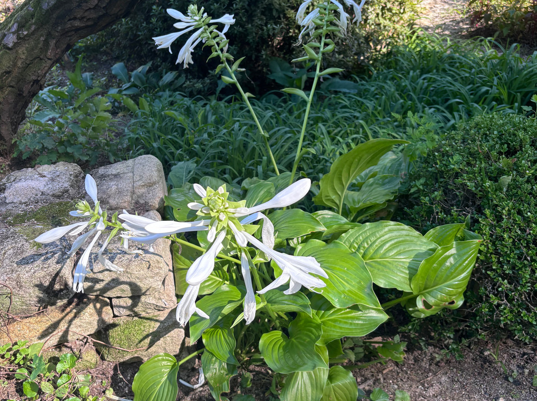 The Garden of Morning Calm-加平郡必去景点