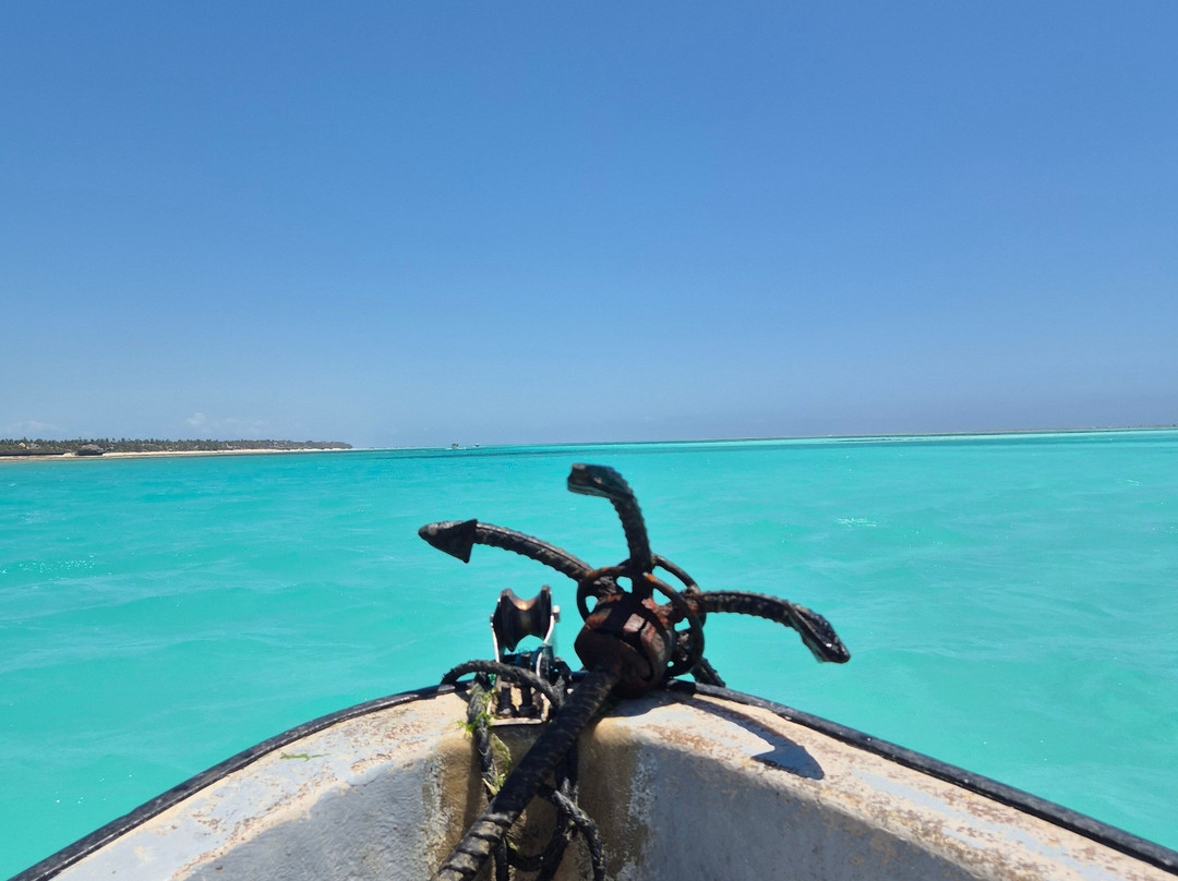 Bwejuu Snorkeling Blue Lagoon Zanzibar tours-桑给巴尔市必去景点
