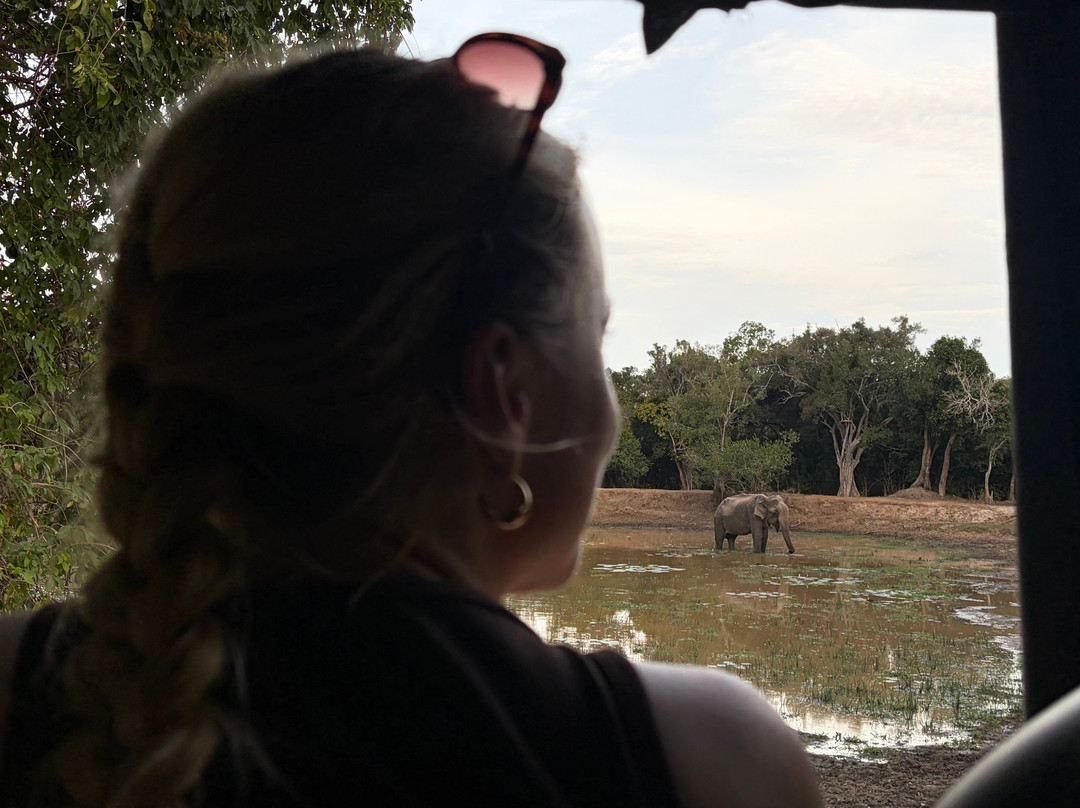 Kumana National Park-Ampara必去景点