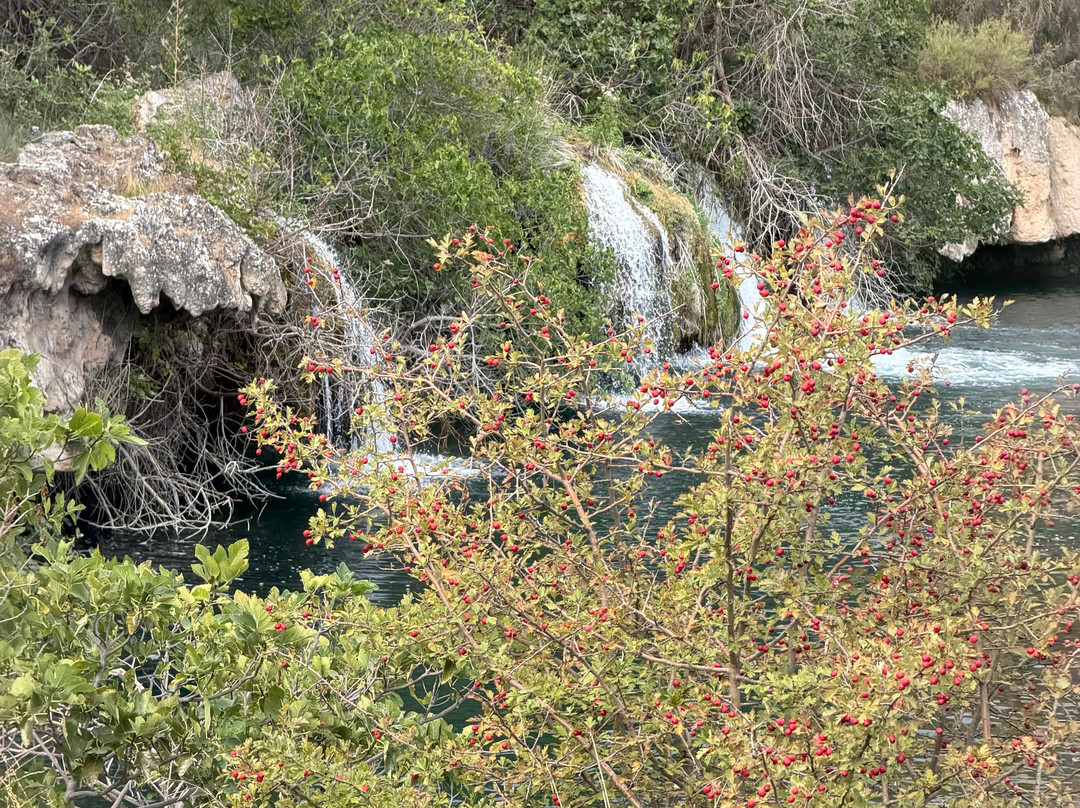 Parque Natural de las Lagunas de Ruidera-Ruidera必去景点