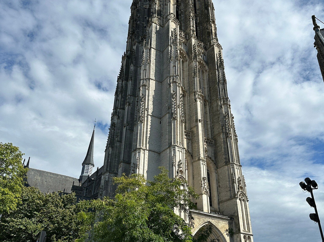 St. Rumbold's Cathedral-梅赫伦必去景点