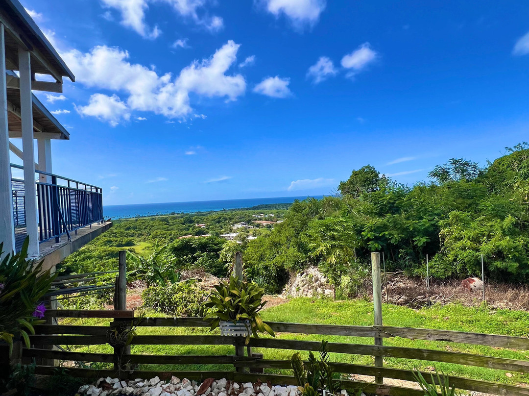 Aguadilla Guest House主图