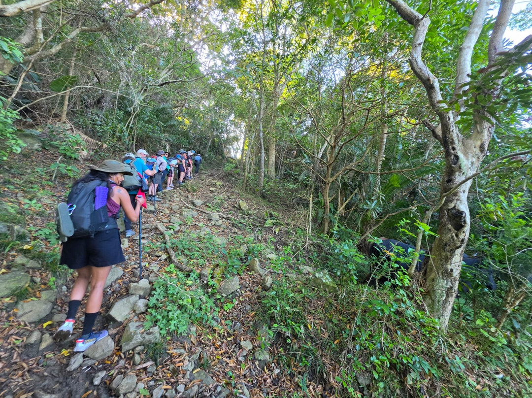 The Wild Walk with Singletrack Adventures-Mbotyi必去景点