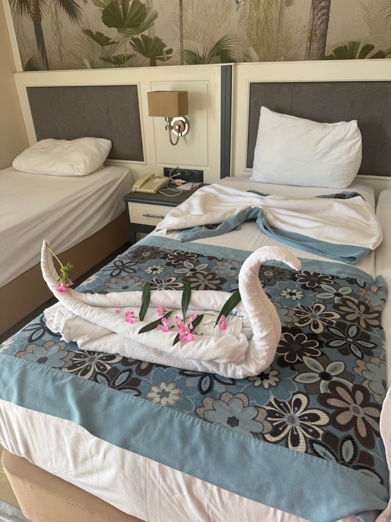 克里斯托帕拉伊索佛得角温泉酒店-旅行者