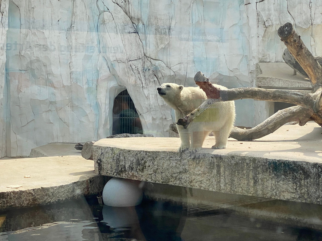 Zoo Karlsruhe-卡尔斯鲁厄必去景点