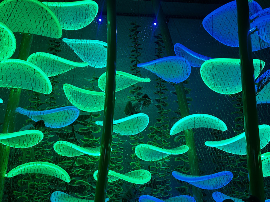 Aquarium At The Boardwalk-布兰森必去景点