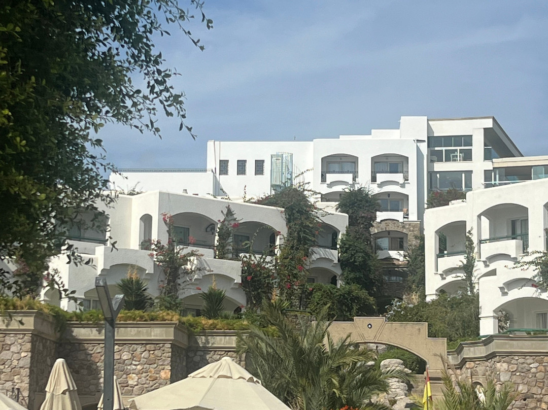 皇家阿萨里克 Spa 海滩酒店 - 全包式主图