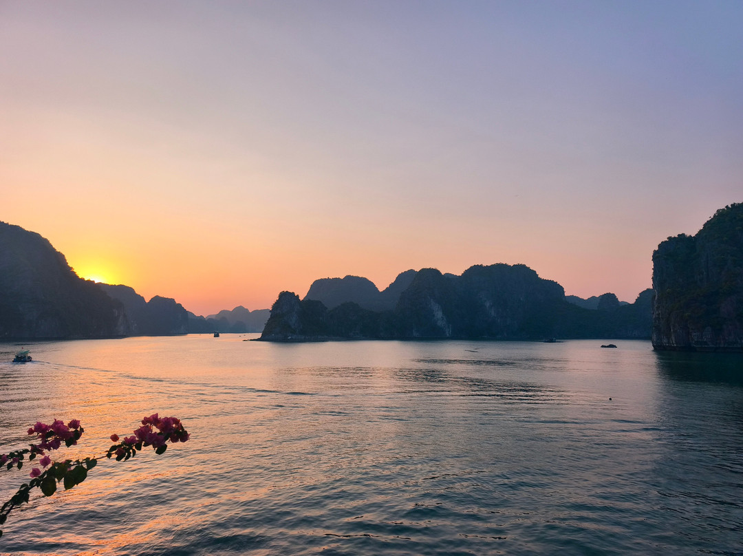 Cat Ba Ocean Cruises-广宁省必去景点