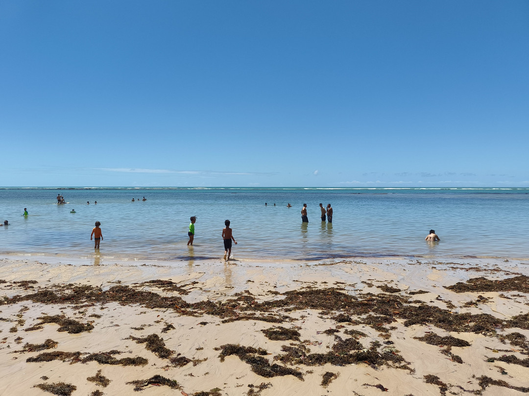 Aracaipe Beach-Arraial d'Ajuda必去景点